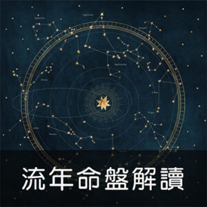 流年命盤解讀